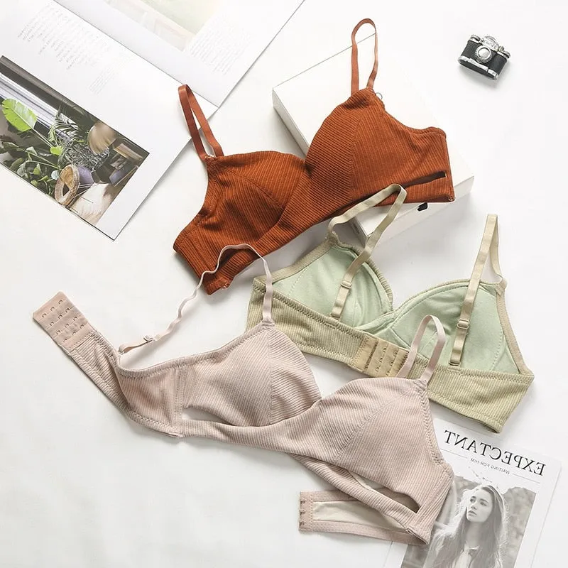 Cotton Push Up & Underwear Set