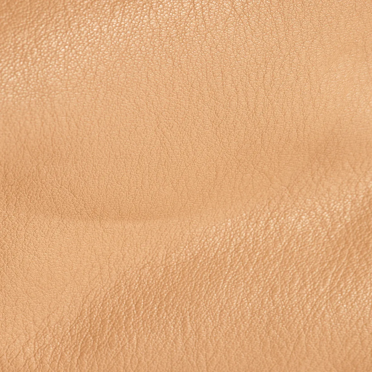 Evan Crossbody | Toast Tan/Brushed Gold | Sml