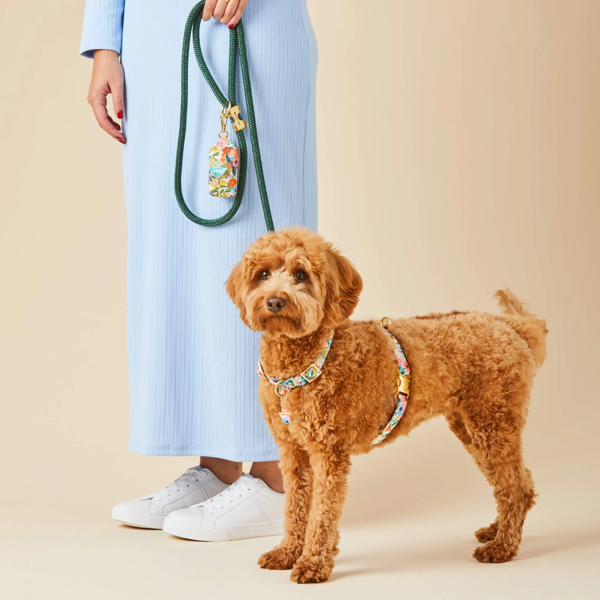 Rifle Paper Co. x TFD Garden Party Harness Walk Set
